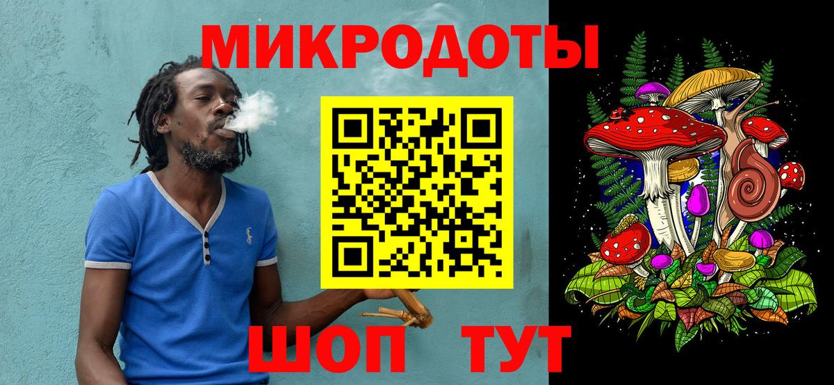 Псилоцибиновые грибы Psilocybe Тольятти