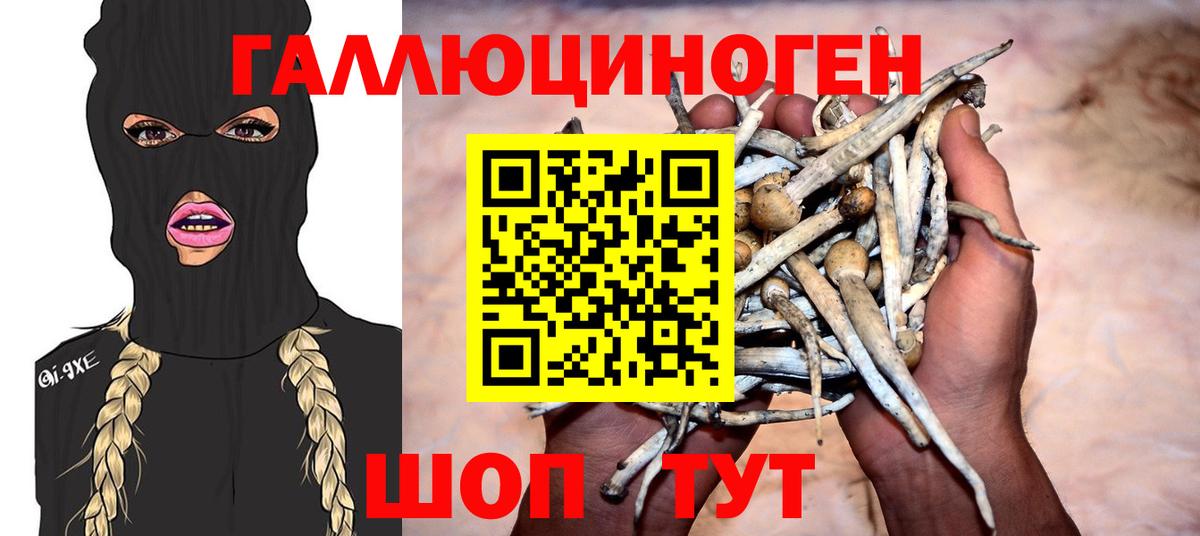 Галлюциногенные грибы GOLDEN TEACHER  Вход с VPN  Тольятти 